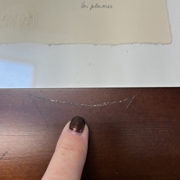 Feathers, Parivolia Italy 2 by Isabelle De Borchgrave - Picture 7 of 8